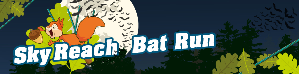 Illustration of the sky reach bat run banner