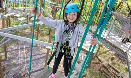 Girl on the tree rope course at Sky Reach